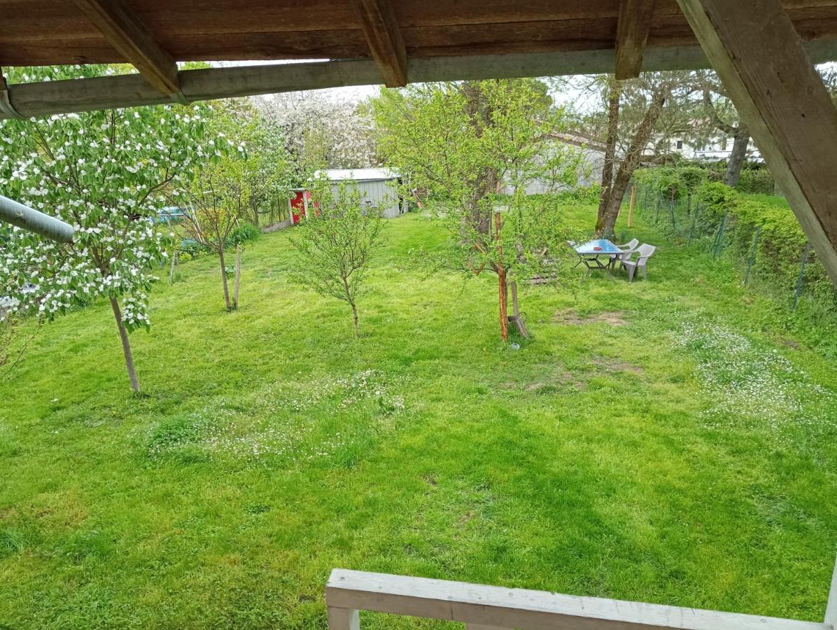 Lulu * Castelmoron-sur-Lot